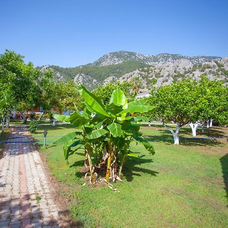 Baris Pension&Bungalows Çıralı Luaran gambar
