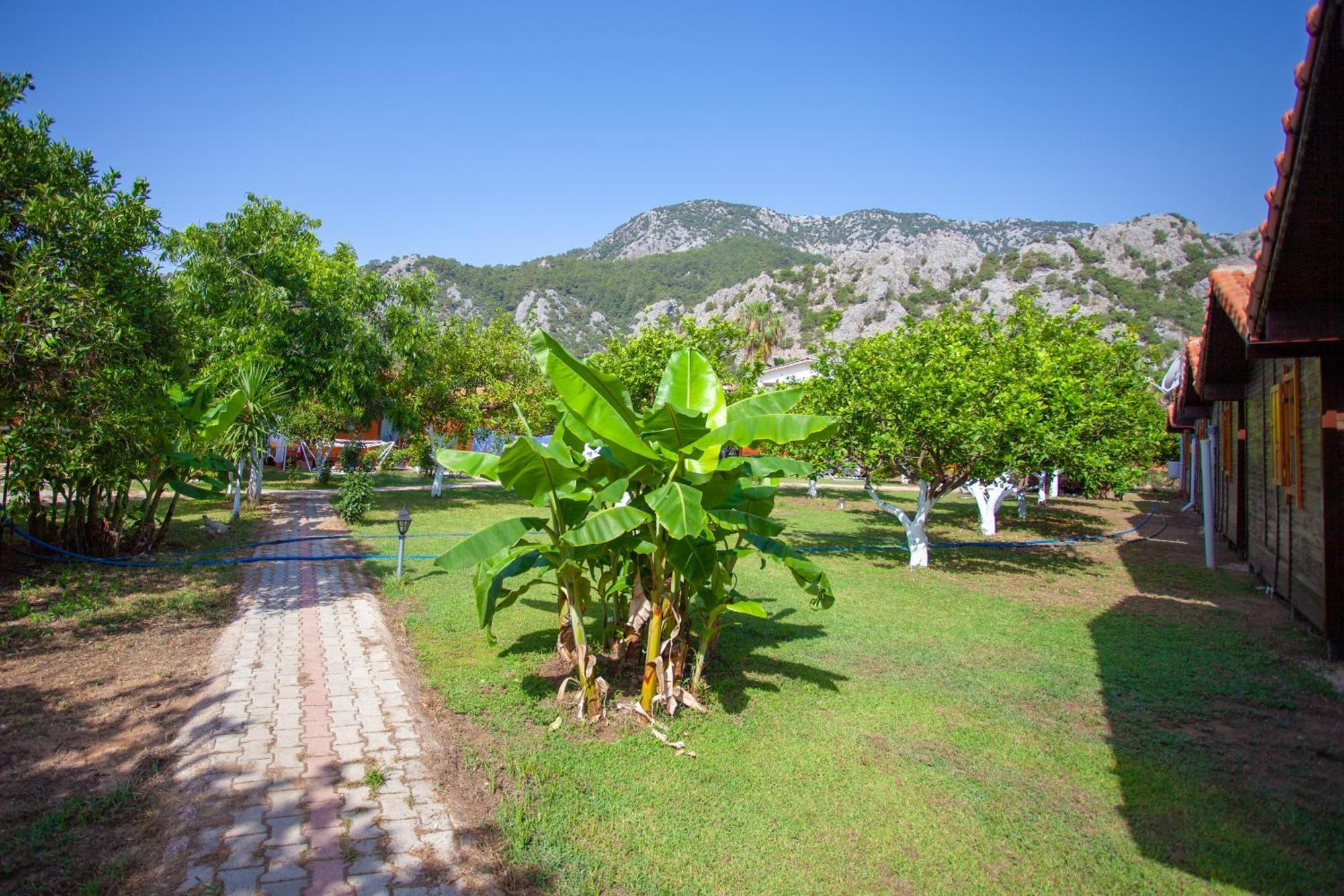 Baris Pension&Bungalows Çıralı Luaran gambar