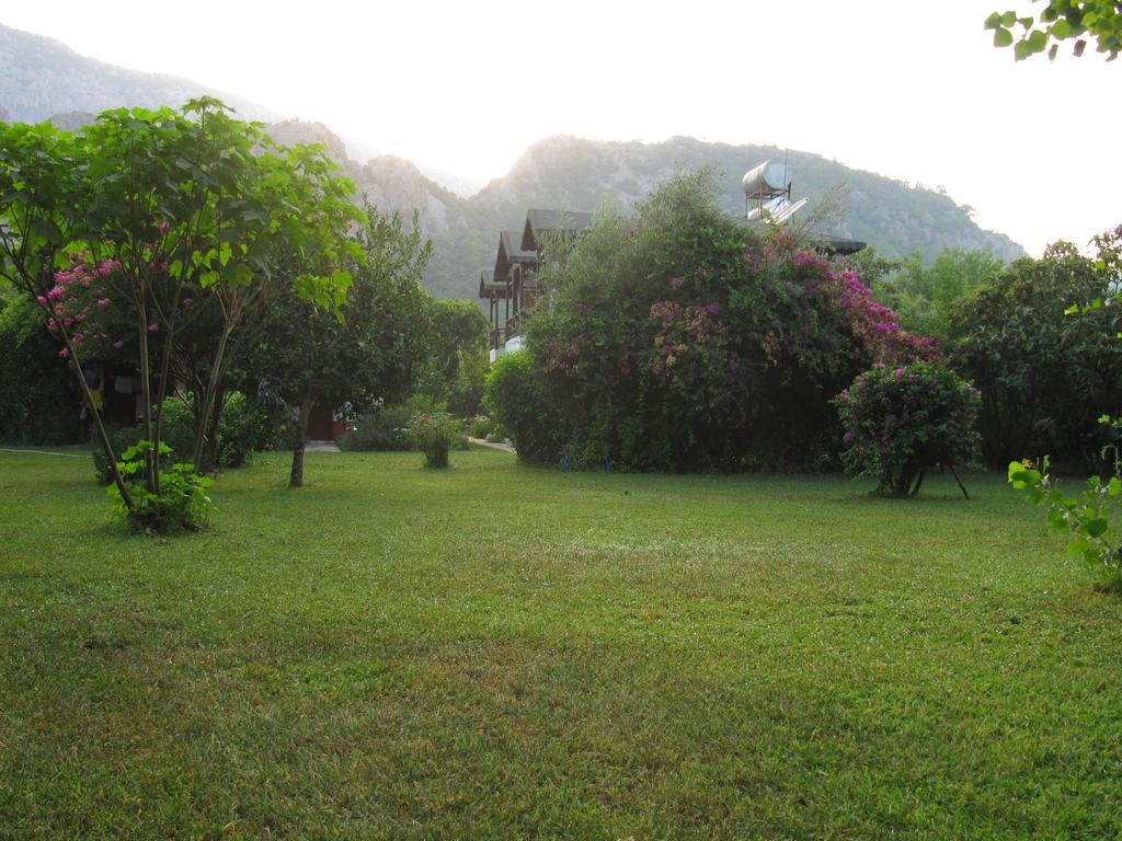 Baris Pension&Bungalows Çıralı Luaran gambar