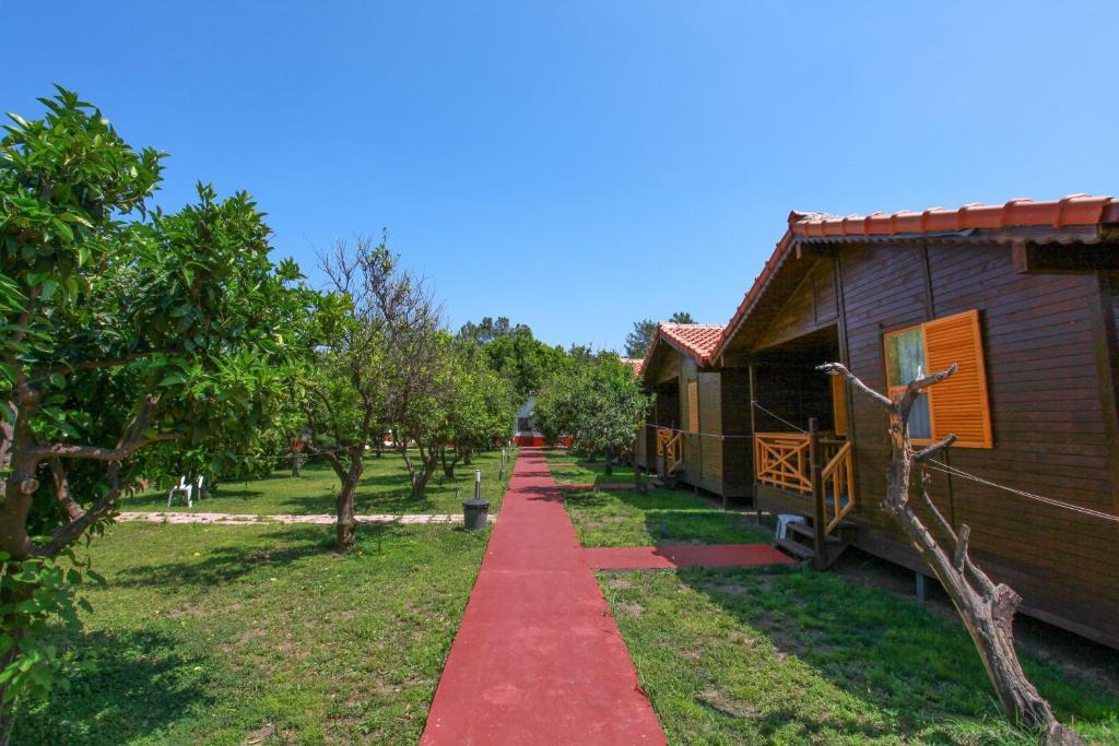 Baris Pension&Bungalows Çıralı Luaran gambar